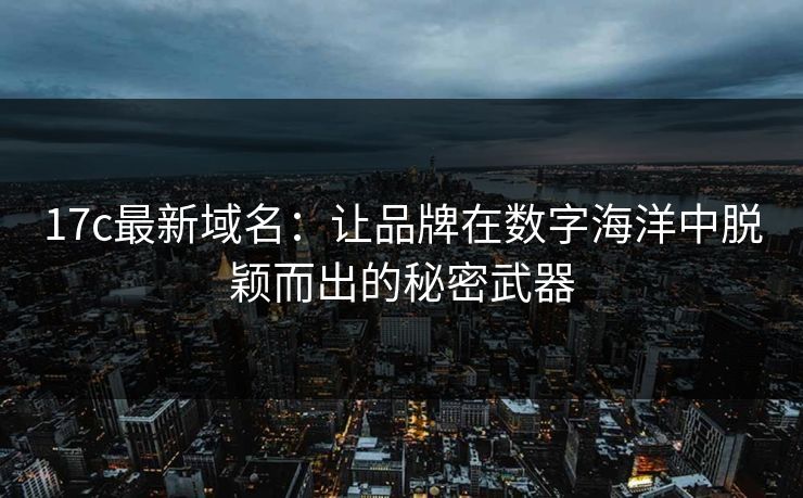 17c最新域名：让品牌在数字海洋中脱颖而出的秘密武器
