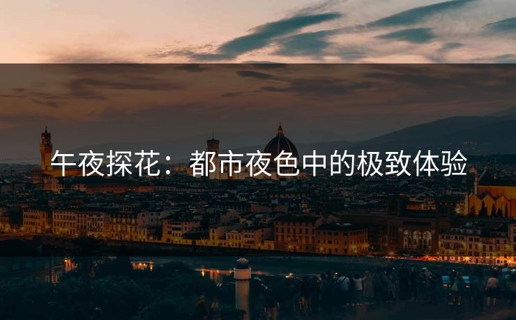 午夜探花：都市夜色中的极致体验