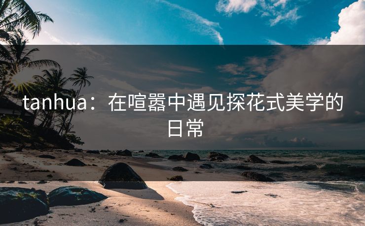 tanhua：在喧嚣中遇见探花式美学的日常