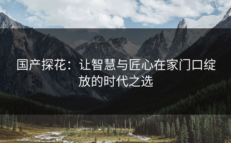 国产探花：让智慧与匠心在家门口绽放的时代之选