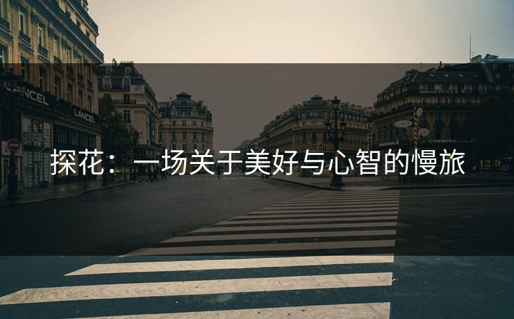 探花：一场关于美好与心智的慢旅