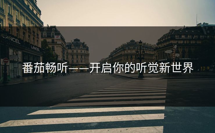 番茄畅听——开启你的听觉新世界
