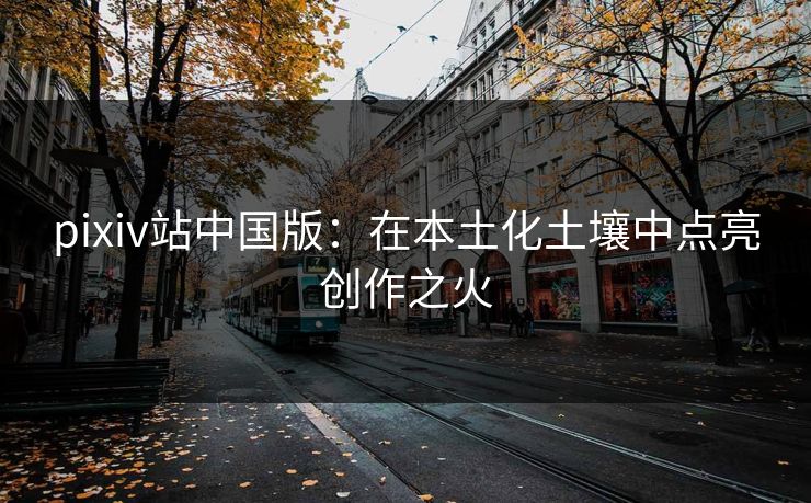 pixiv站中国版：在本土化土壤中点亮创作之火