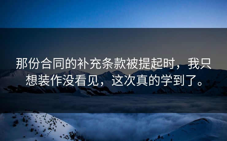 那份合同的补充条款被提起时，我只想装作没看见，这次真的学到了。